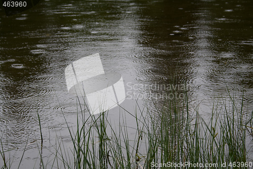 Image of Raindrops on water