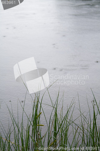 Image of Raindrops on water II