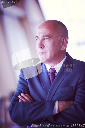 Image of senior business man portrait