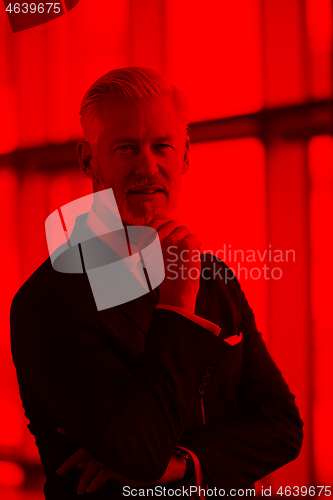 Image of senior business man portrait