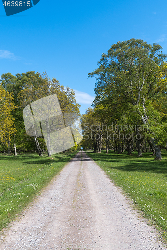 Image of Straight gravel road in spring season