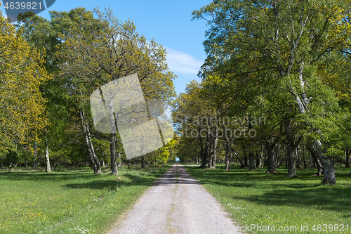 Image of Beautiful trail in spring season