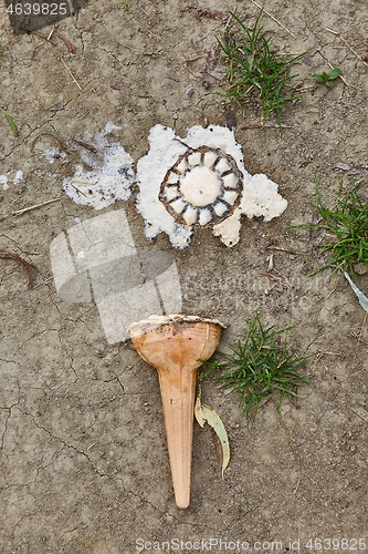 Image of Dropped ice-cream melting on the ground