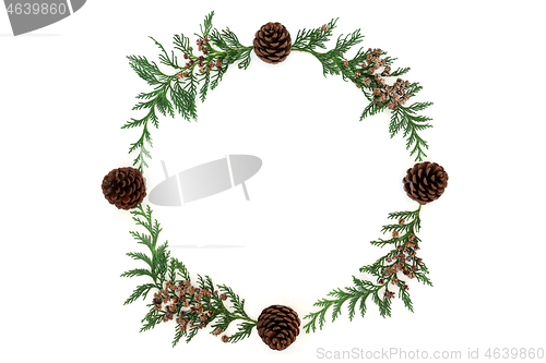Image of Cedar Cypress & Pine Cone Wreath