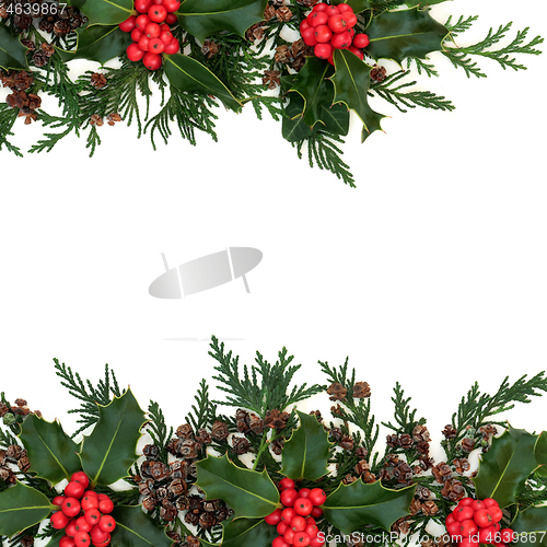 Image of Winter Holly Ivy and Cedar Background Border