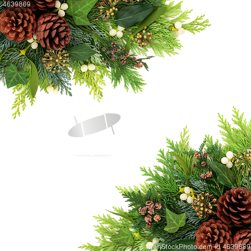 Image of Winter and Christmas Greenery Background Border