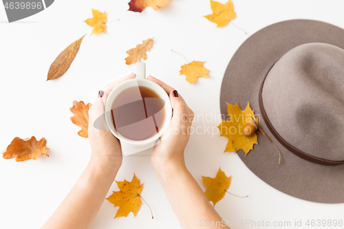 Image of hands with cup of tea, autumn leaves and hat