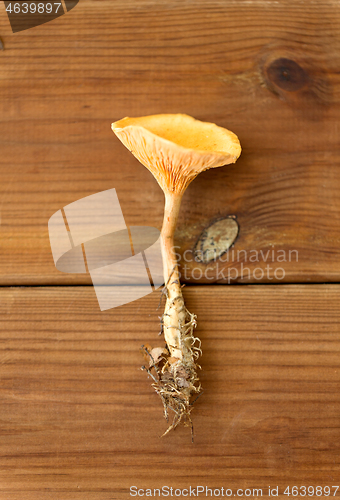 Image of chanterelles on wooden background