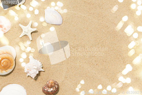 Image of seashells on beach sand