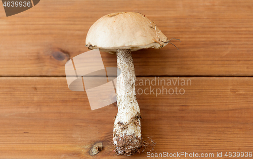 Image of brown cap boletus mushroom on wooden background