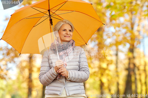 Image of happy senior woman with umbrella at autumn park