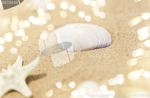 Image of seashells on beach sand