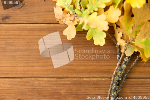 Image of oak leaves in autumn colors on wooden table