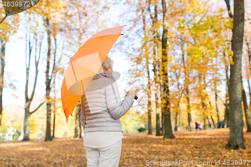 Image of senior woman with umbrella at autumn park