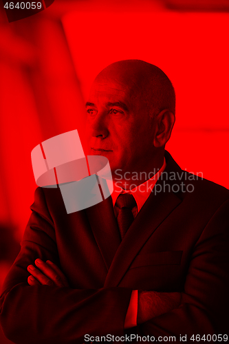 Image of senior business man portrait