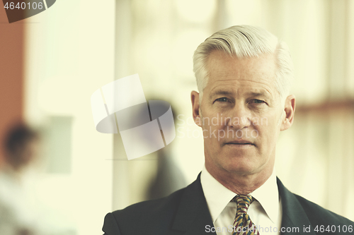 Image of portrait of handsome senior business man at modern office