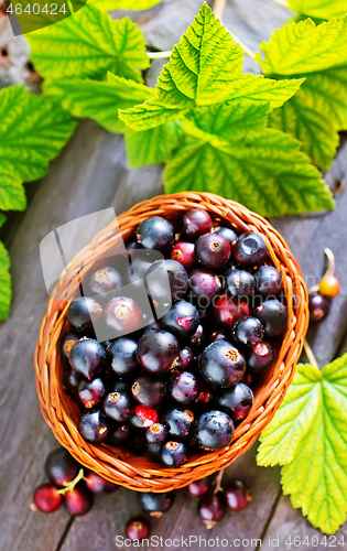 Image of fresh berries