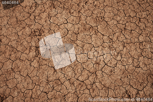 Image of Dry cracked soil during drought 