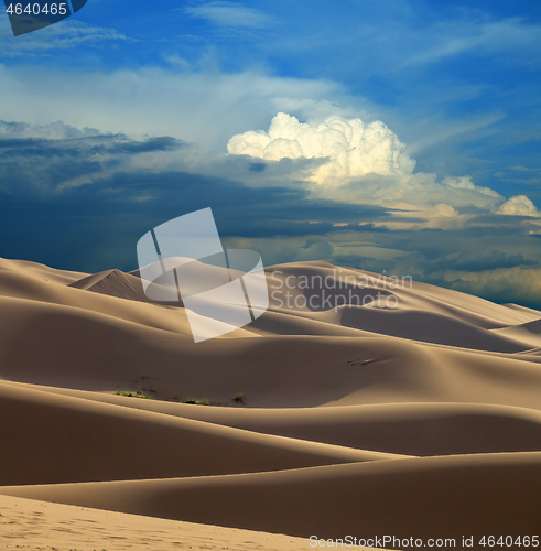 Image of Sand dunes in desert at sunset