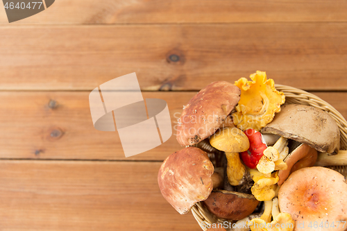 Image of basket of different edible mushrooms on wood