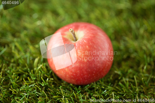 Image of close up of ripe red apple on artificial grass