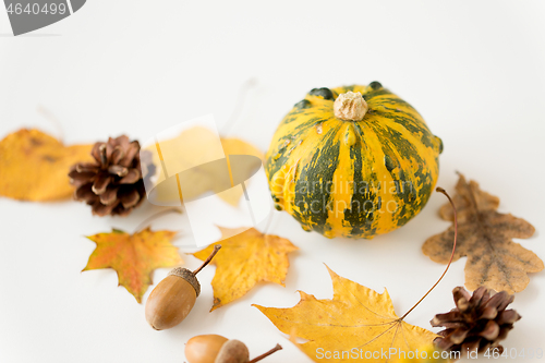 Image of close up of pumpkin, acorns and autumn leaves