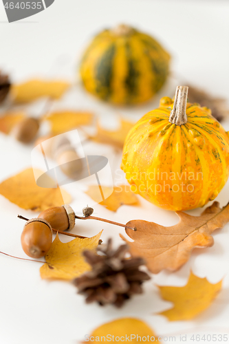 Image of close up of pumpkin, acorns and autumn leaves