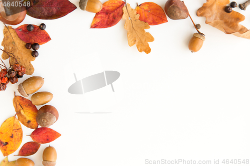 Image of autumn leaves, chestnuts, acorns and berries frame