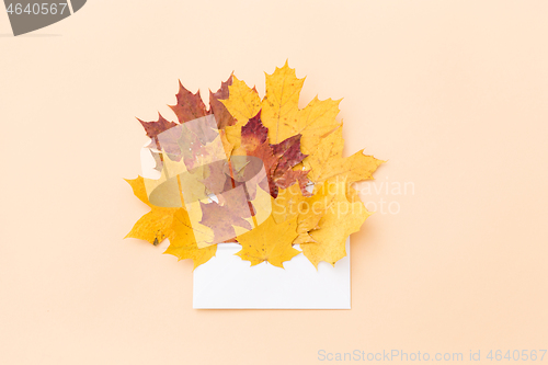 Image of autumn maple leaves with envelope on beige