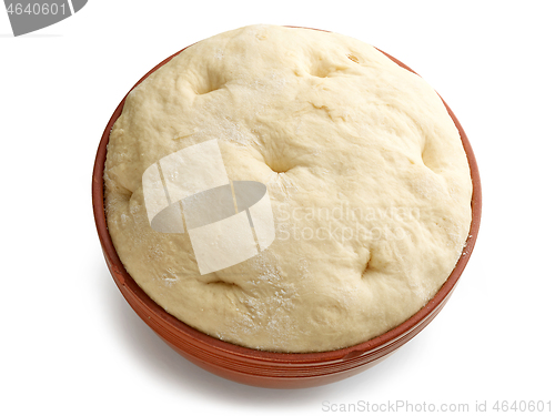 Image of bowl of dough