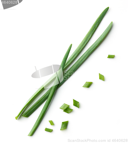 Image of green onion on white background