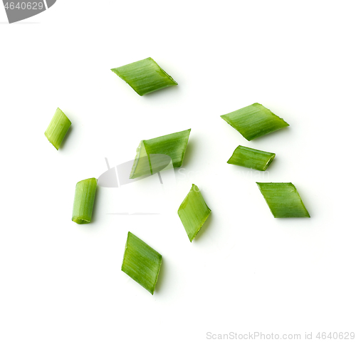 Image of green onion on white background