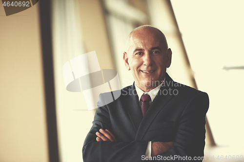 Image of senior business man portrait