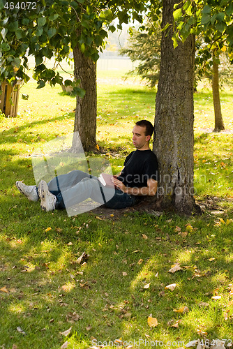 Image of Reading In The Park