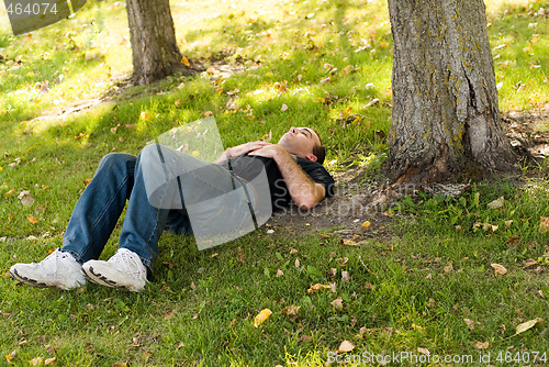 Image of Dreaming Under A Tree