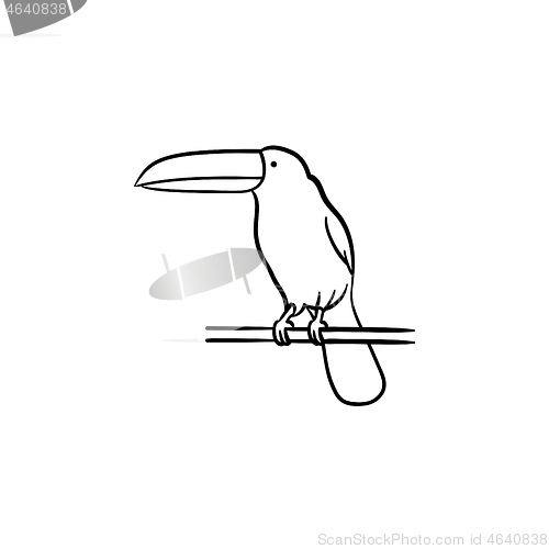 Image of Toucan hand drawn sketch icon.