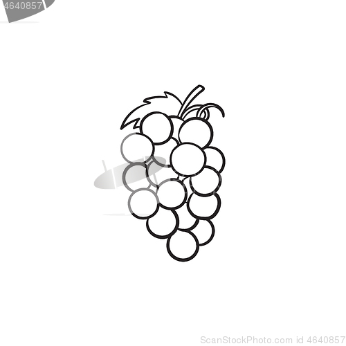 Image of Bunch of grapes hand drawn sketch icon.