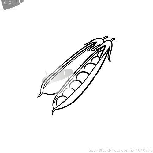 Image of Peapod hand drawn sketch icon.
