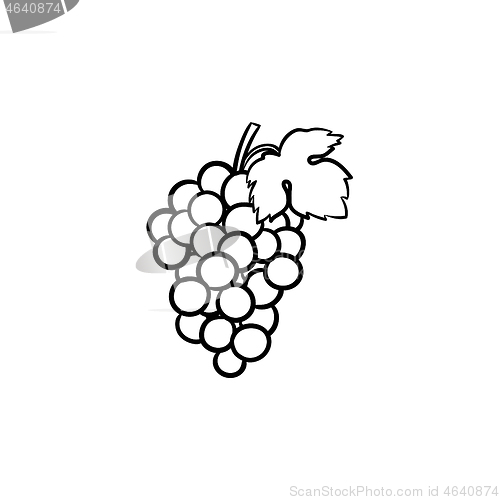 Image of Bunch of grapes hand drawn sketch icon.