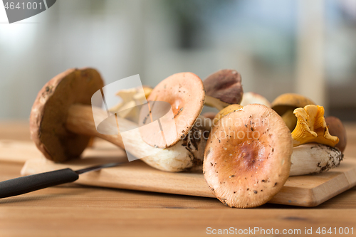 Image of edible mushrooms on wooden cutting board and knife