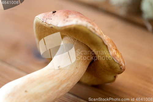 Image of boletus edulis mushroom on wooden background