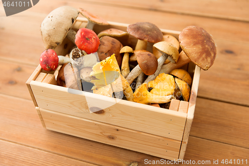 Image of wooden box of different edible mushrooms