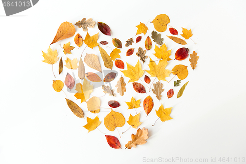 Image of dry fallen autumn leaves in shape of heart