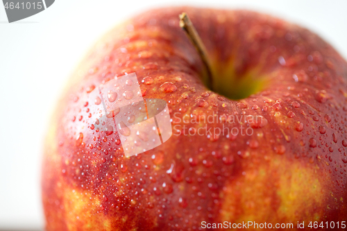 Image of close up of ripe red apple