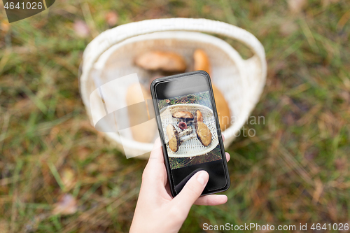 Image of close up of woman photographing mushrooms