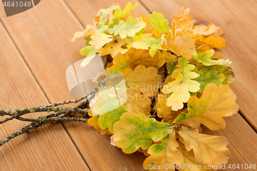 Image of oak leaves in autumn colors on wooden table