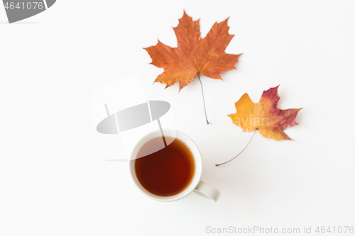 Image of cup of black tea and autumn maple leaves