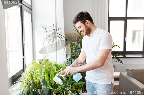 Image of man spraying houseplants with water at home