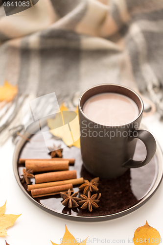 Image of hot chocolate, autumn leaves and warm blanket