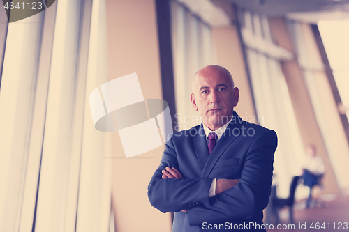 Image of senior business man portrait